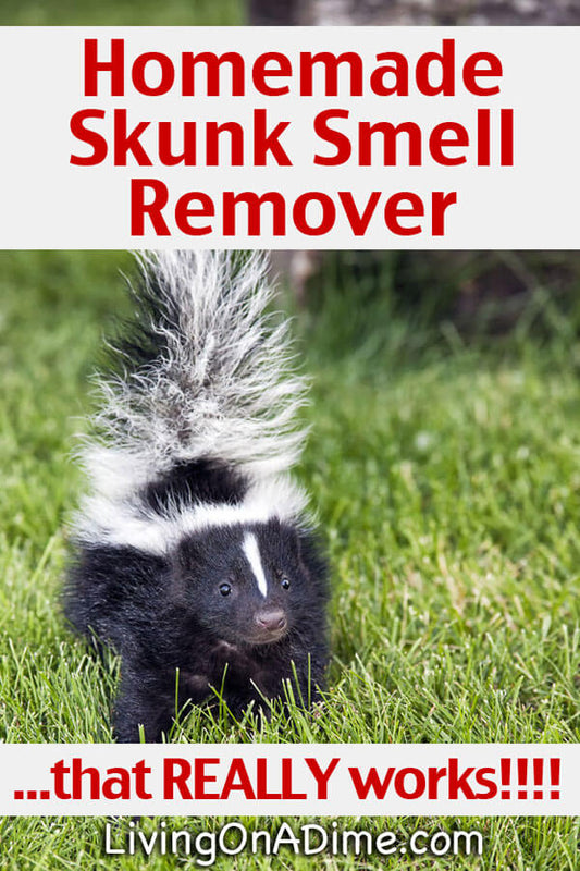 Homemade Skunk Smell Remover…that REALLY works!!!!