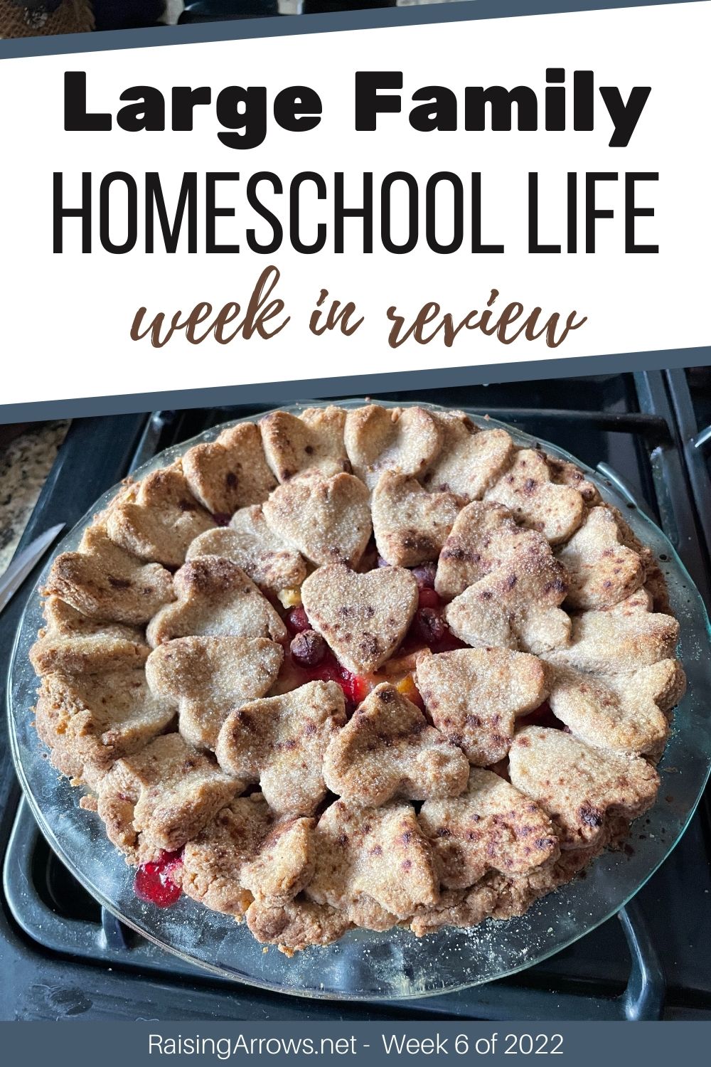 Large Family Homeschool Life – Week 6 of 2022