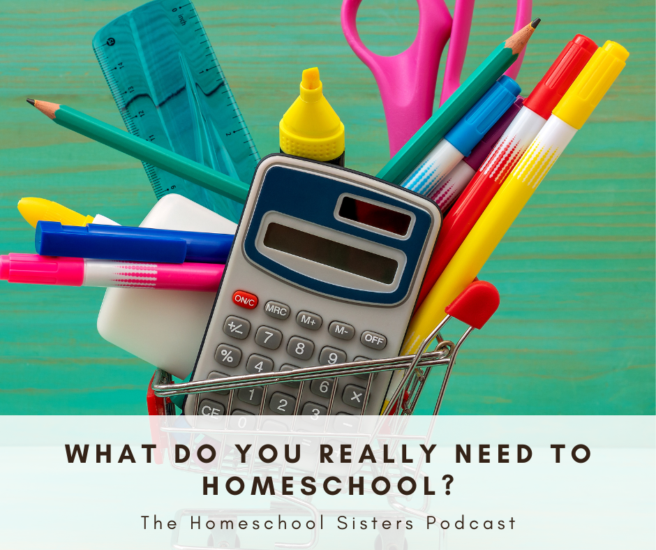 What Do You Really Need to Homeschool? [Episode 111]