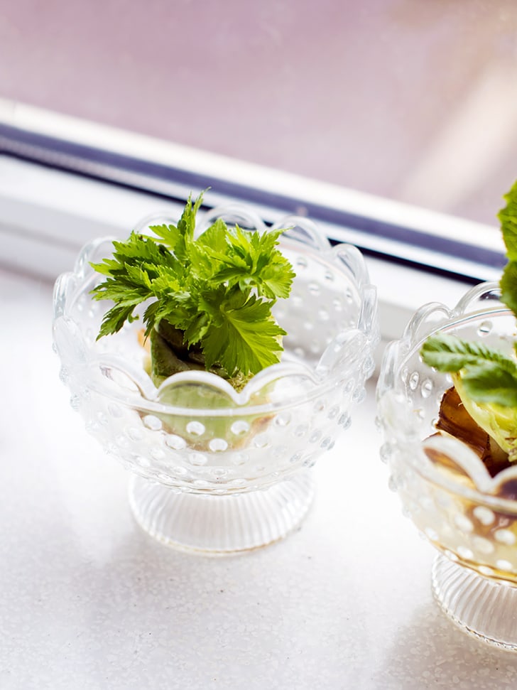 Yes, You Can Regrow Your Vegetables From Scraps