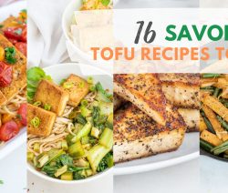 Since we are pretty head over heels in love with tofu, it only makes sense to bring you an amazing round-up of the best tofu recipes out there, right? It turns out that there are so many different ways to prepare this seemingly bland white block of...
