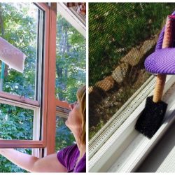 Looking for some super simple window cleaning tips? Look no further than these great option