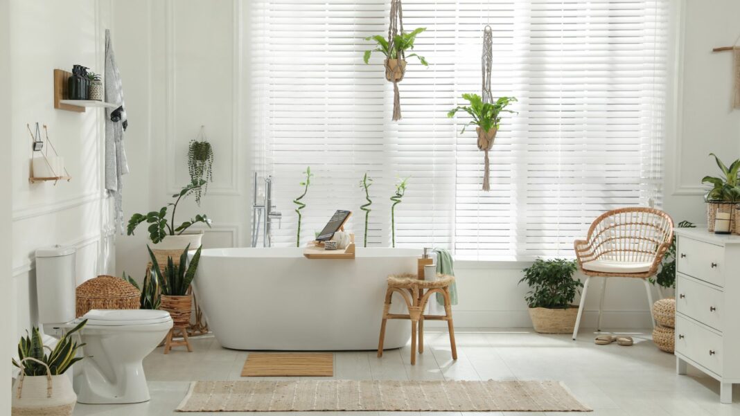 6 Natural Ways to Get Rid of Mold in Your Bathroom