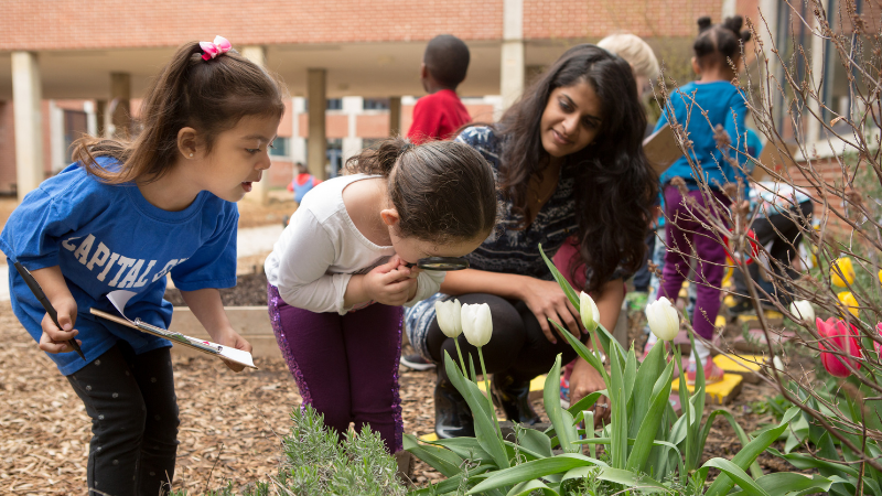 Free Activities for Earth Day and Learning About the Environment
