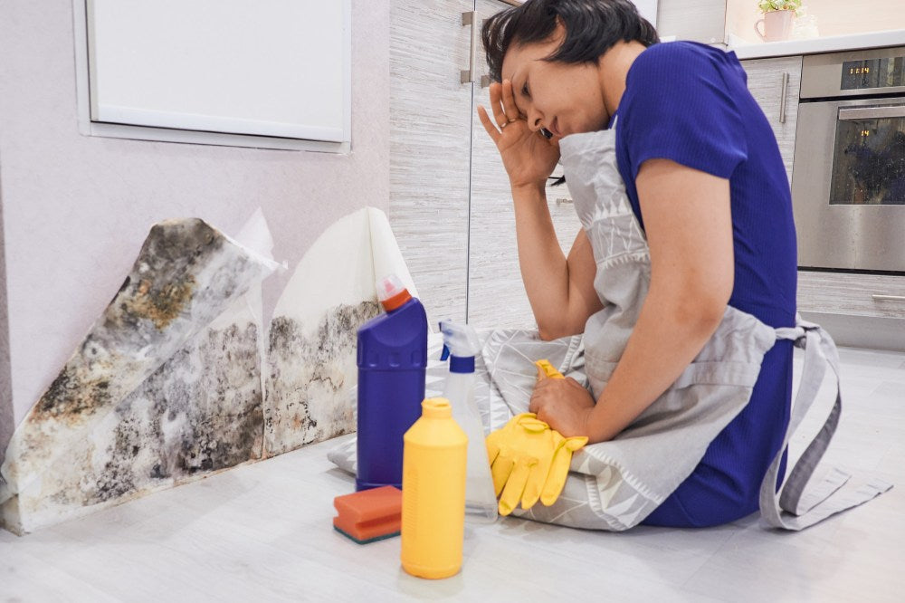 How to Protect Your Home from Mold in the Winter