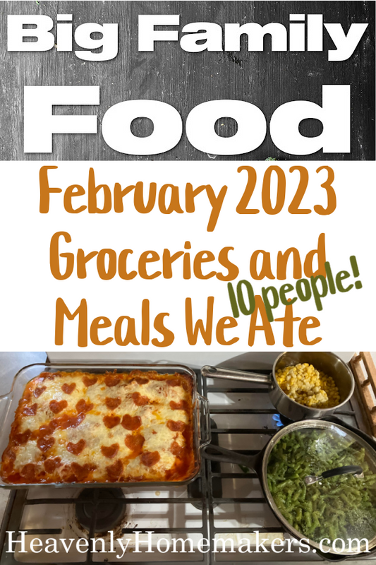 February 2023 Groceries and Meals We Ate (Big Family Food!)