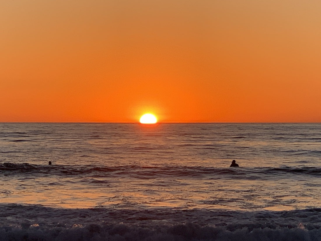 A Week in San Diego: Havin’ Fun in the Warm California Sun
