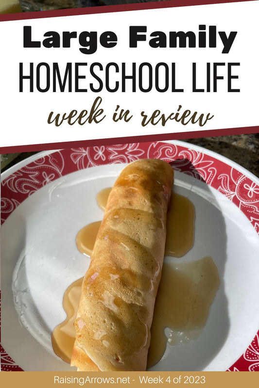 Large Family Homeschool Life – Week 4 of 2023