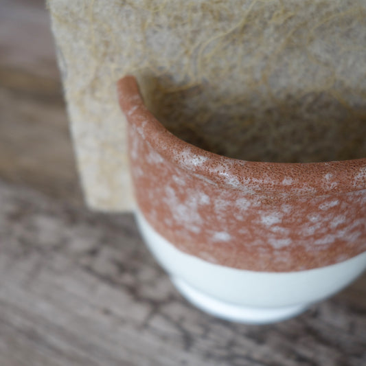 Stoneware Sponge Holder with Sponge
